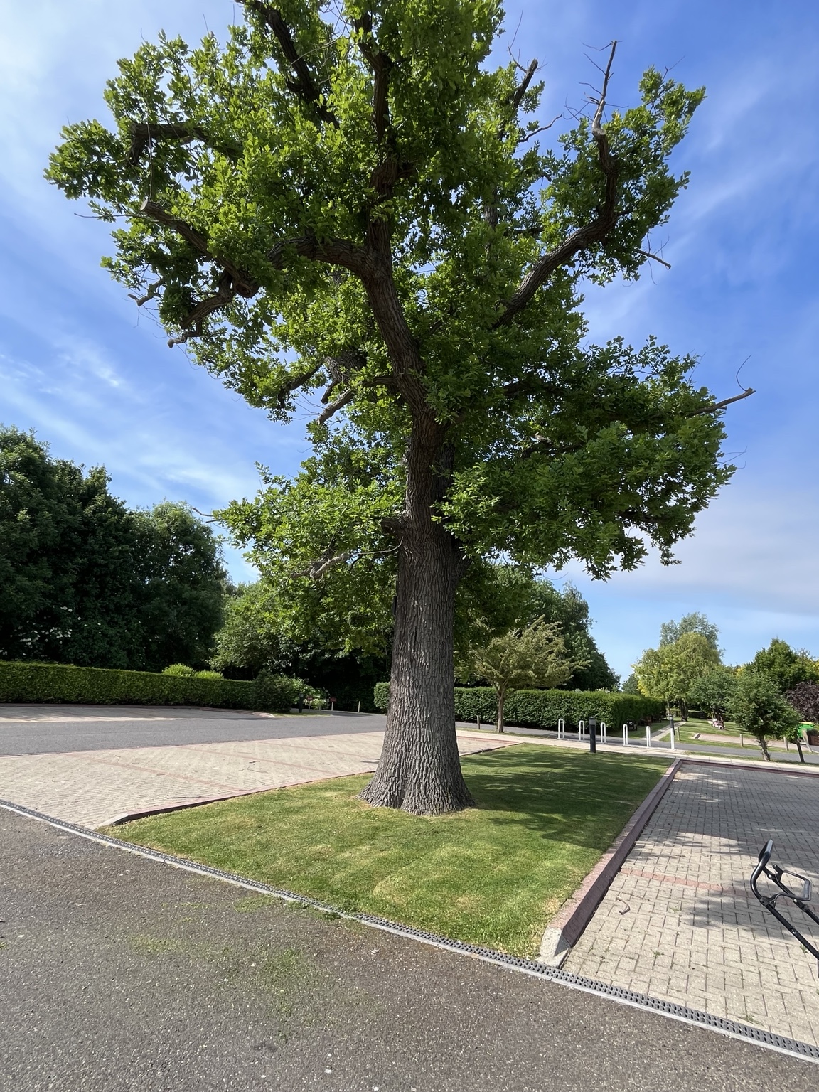Kent grounds work